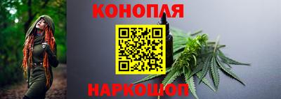 эйфоретик Можга
