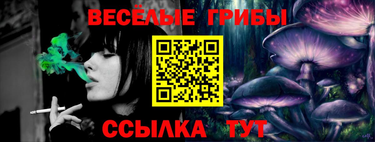 Псилоцибиновые грибы Magic Shrooms Соликамск